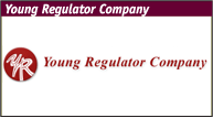 Young Regulator Company